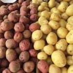 Sept Farmers Market 02