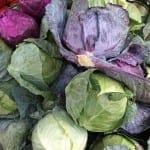 Sept Farmers Market 03