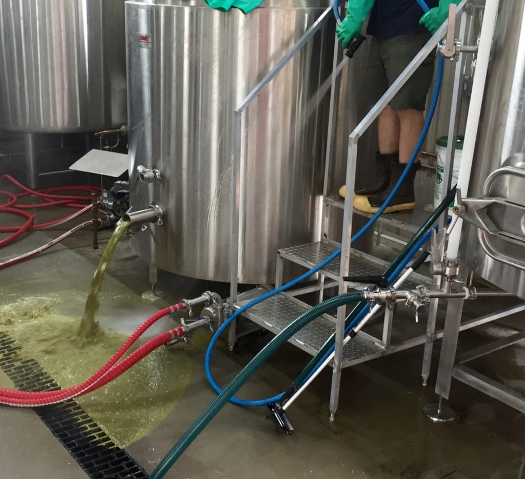 Hops and proteins flow out of the brew kettle