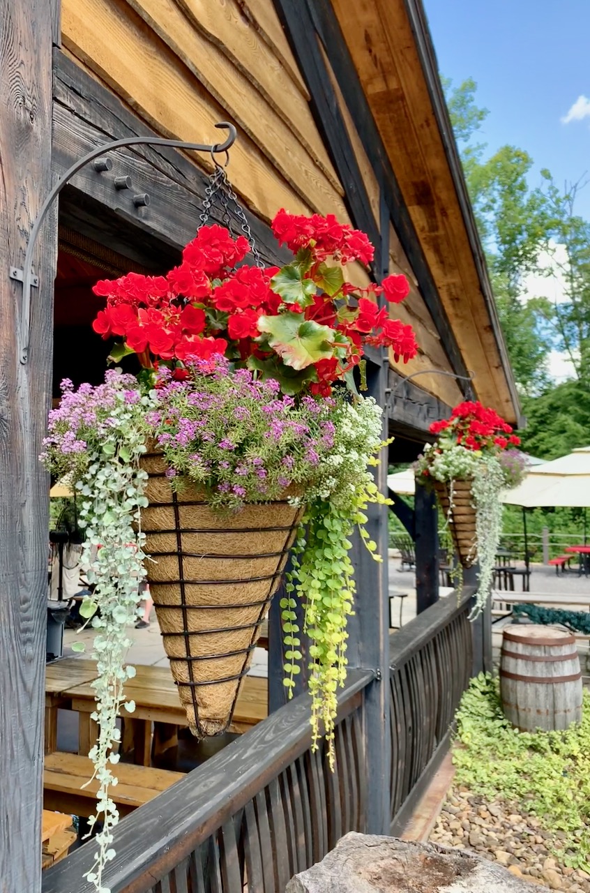 flower basket