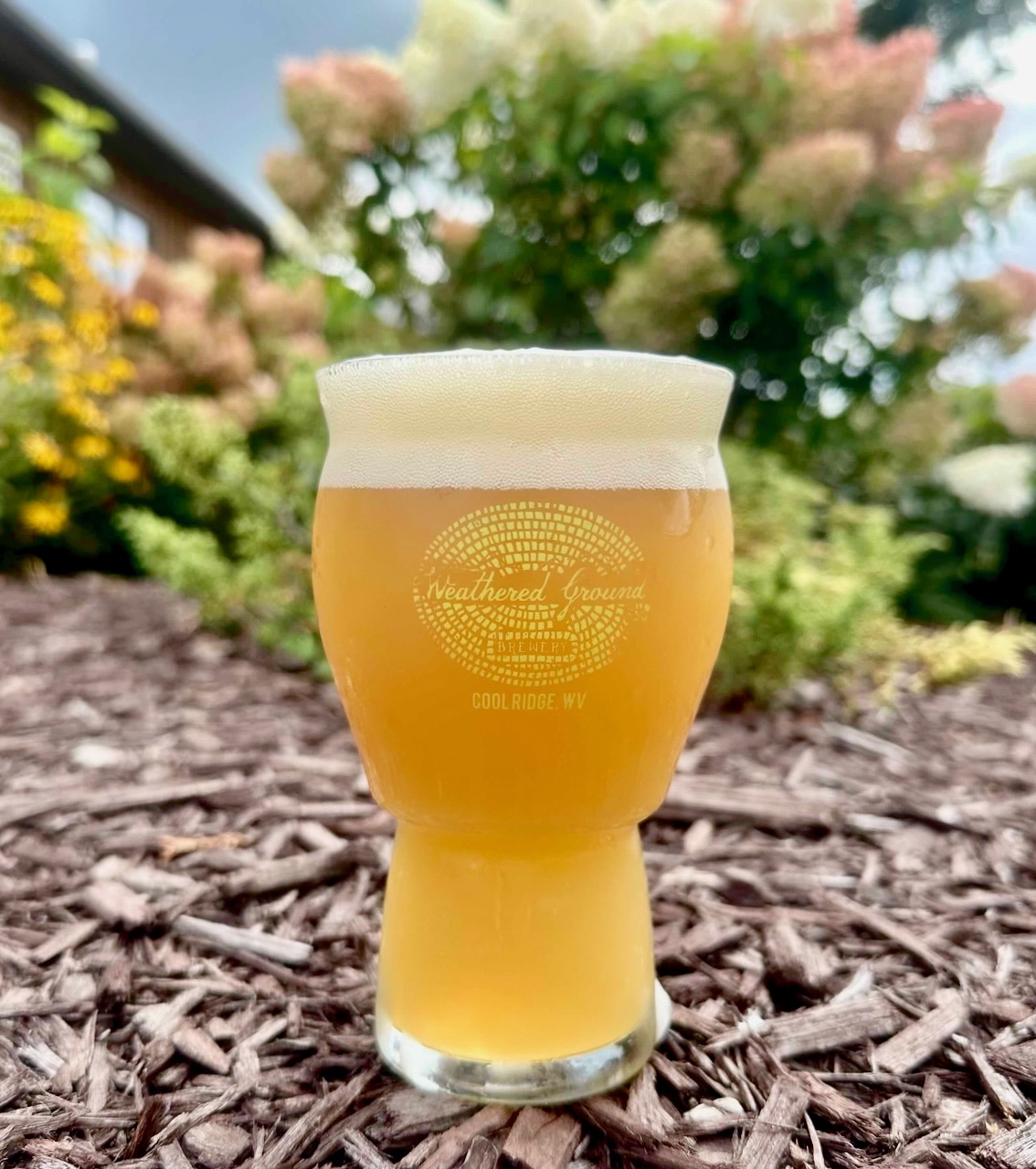 Vera Good IPA by Weathered Ground Brewery